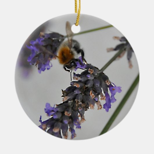 Naturen Prachtige werknemers Keramisch Ornament (Voorkant)