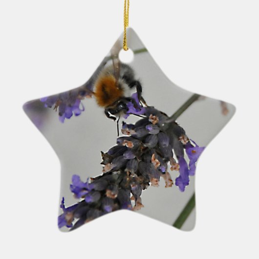 Naturen Prachtige werknemers Keramisch Ornament (Voorkant)