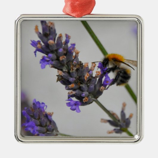 Naturen Prachtige werknemers Metalen Ornament (Voorkant)