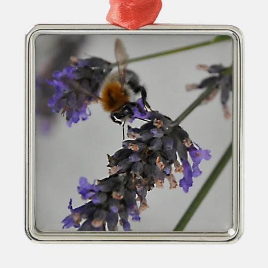 Naturen Prachtige werknemers Metalen Ornament (Voorkant)