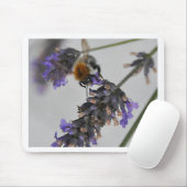 Naturen Prachtige werknemers Muismat (Met muis)