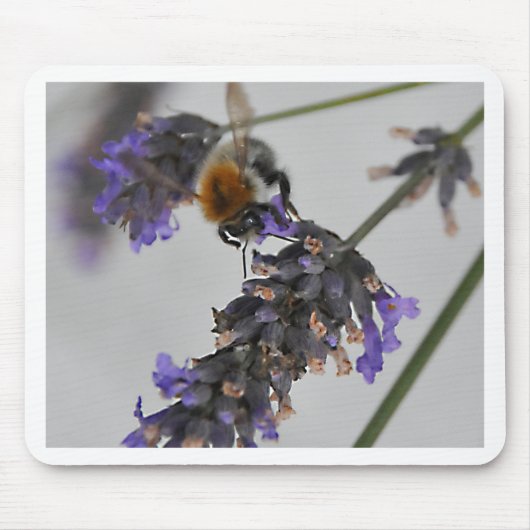Naturen Prachtige werknemers Muismat (Voorkant)