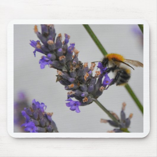 Naturen Prachtige werknemers Muismat (Voorkant)