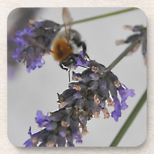 Naturen Prachtige werknemers Onderzetter (Voorkant)