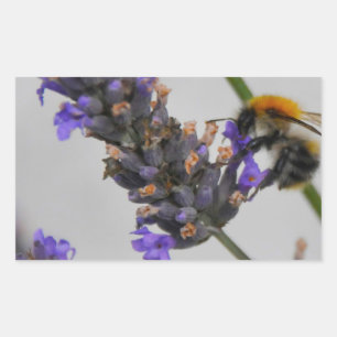 Naturen Prachtige werknemers Rechthoekige Sticker