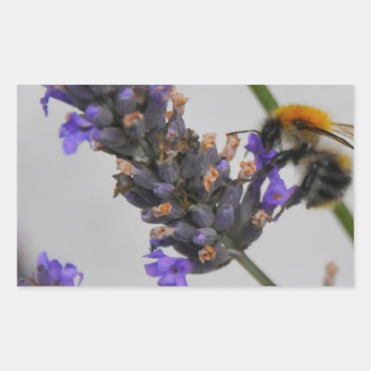 Naturen Prachtige werknemers Rechthoekige Sticker (Voorkant)