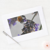 Naturen Prachtige werknemers Rechthoekige Sticker (Envelop)