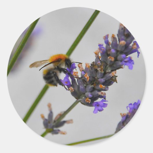 Naturen Prachtige werknemers Ronde Sticker (Voorkant)