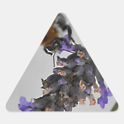 Naturen Prachtige werknemers Sticker (Voorkant)