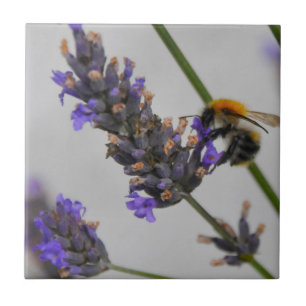 Naturen Prachtige werknemers Tegeltje