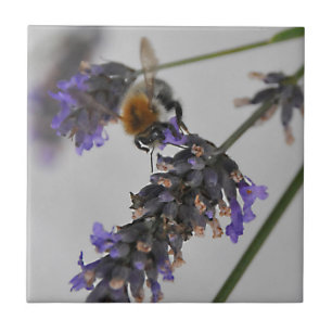 Naturen Prachtige werknemers Tegeltje