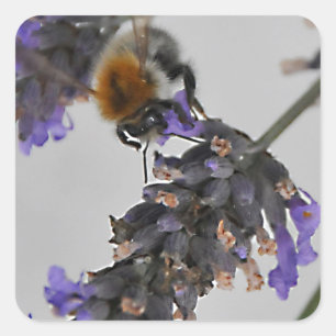 Naturen Prachtige werknemers Vierkante Sticker