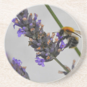 Naturen Prachtige werknemers Zandsteen Onderzetter