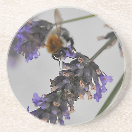 Naturen Prachtige werknemers Zandsteen Onderzetter (Voorkant)