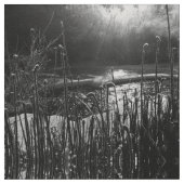 Naturen Sunrise Fabric Stof (Close Up)