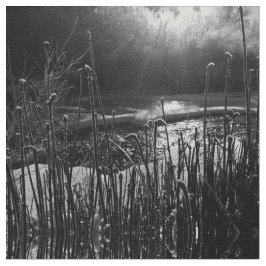 Naturen Sunrise Fabric Stof