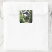 Nature's Archway - Natural Bridge Vierkante Sticker (Tas)