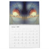 Nature's Beauty Mirrored Photography Kalender (Jan 2027)