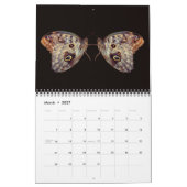 Nature's Beauty Mirrored Photography Kalender (Mar 2027)