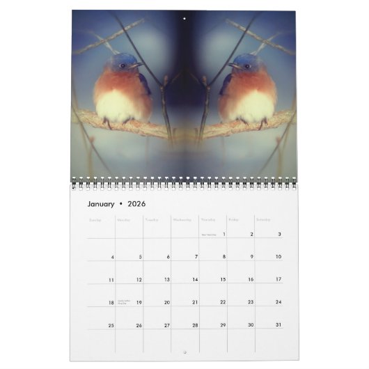 Nature's Beauty Mirrored Photography  Kalender (Jan 2026)