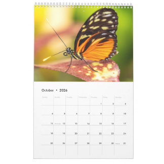 Nature's beauty: Small Sights Kalender