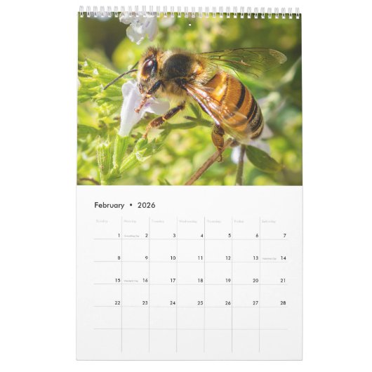 Nature's beauty: Small Sights Kalender (Feb 2026)