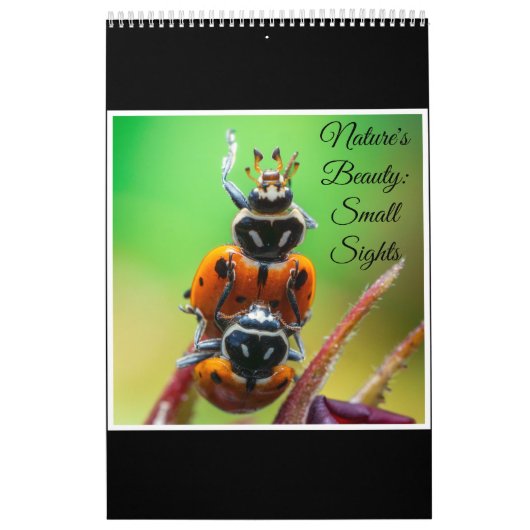 Nature's beauty: Small Sights Kalender (Hoes)