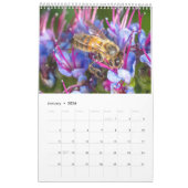 Nature's beauty: Small Sights | Nature Photography Kalender (Jan 2026)