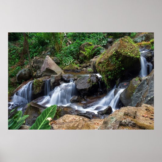 Nature's Bliss Poster (Voorkant)