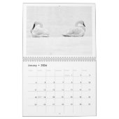 Nature's Perspectives - 2026 Wall Calendar Kalender (Jan 2026)