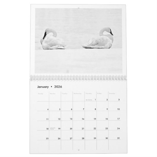 Nature's Perspectives - 2026 Wall Calendar Kalender (Jan 2026)