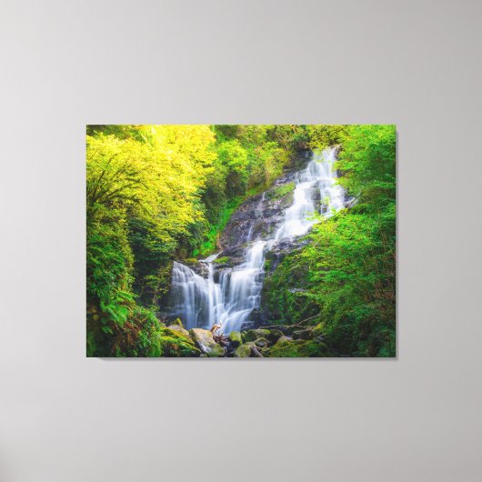 Nature's Symphony: The Cascades of Killarney Canvas Afdruk (Voorkant)