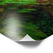 Nature's Symphony: The Cascades of Killarney Foto Afdruk (Hoek)