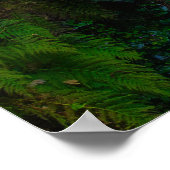 Nature's Symphony: The Cascades of Killarney Poster (Hoek)