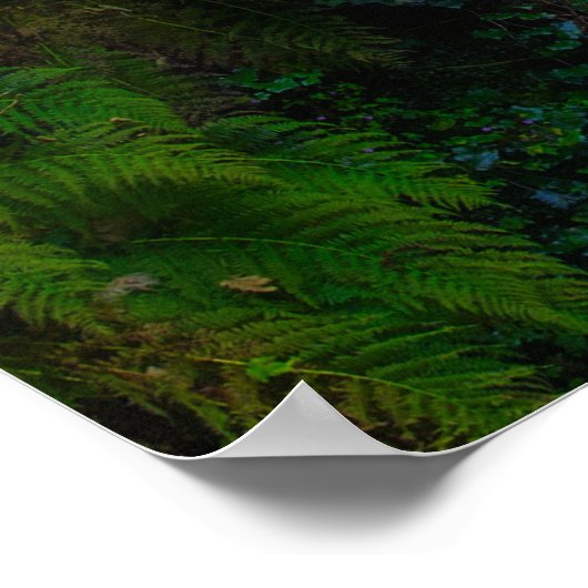 Nature's Symphony: The Cascades of Killarney Poster (Hoek)