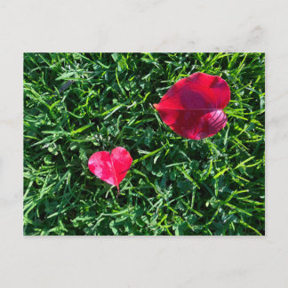 Natures valentine: heart shaped red leaf feestdagenkaart