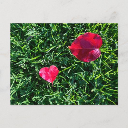 Natures valentine: heart shaped red leaf feestdagenkaart (Voorkant)