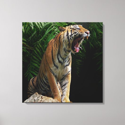 Nature's Wild Animals - Roaring Tiger Canvas Afdruk (Voorkant)