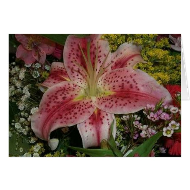 Natuur (Voorkant Horizontaal)