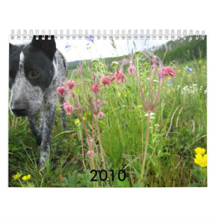 natuur 2010 kalender