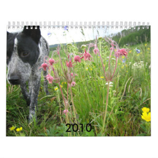 natuur 2010 kalender