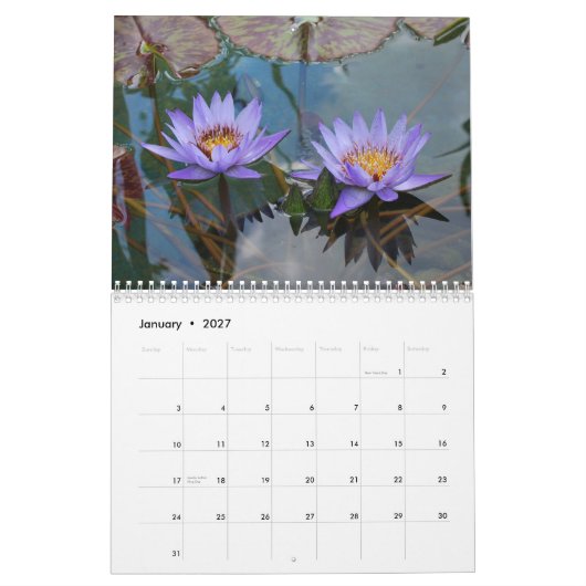 Natuur 2013 kalender (Jan 2027)