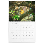 natuur 2014 kalender (Mar 2027)