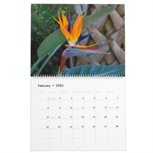 Natuur 2016 kalender (Feb 2026)