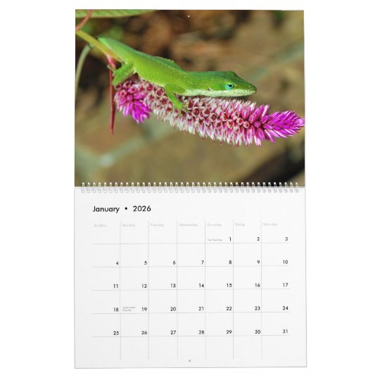 Natuur 2016 kalender (Jan 2026)