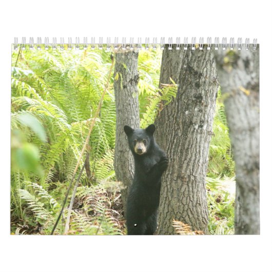 natuur 2016 kalender (Hoes)