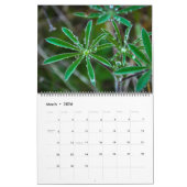 natuur 2017 kalender (Mar 2026)