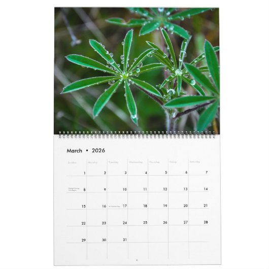 natuur 2017 kalender (Mar 2026)