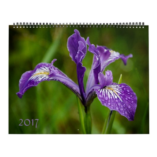 natuur 2017 kalender (Hoes)