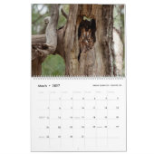 natuur 2020 kalender (Mar 2027)